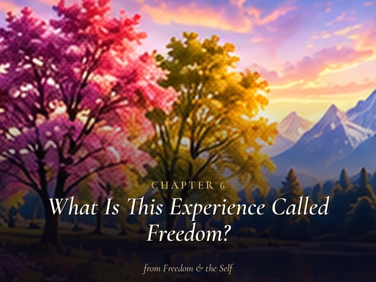 Chapter 6: What Is This Experience Called Freedom?