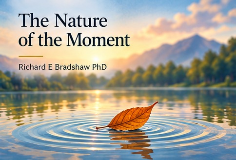 The Nature of the Moment cover
